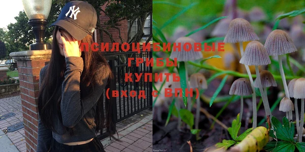 мяу мяу мука Алзамай