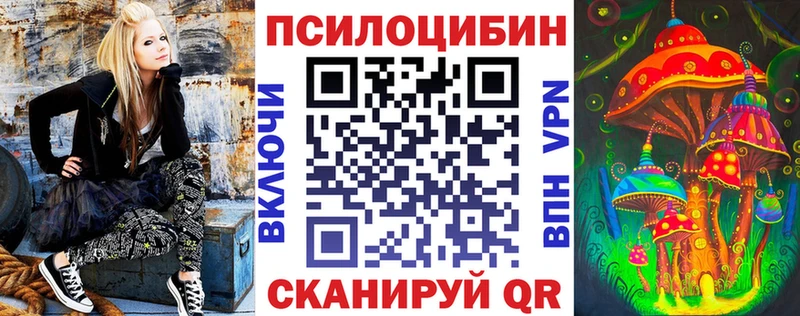 Псилоцибиновые грибы Psilocybe  Кулебаки 
