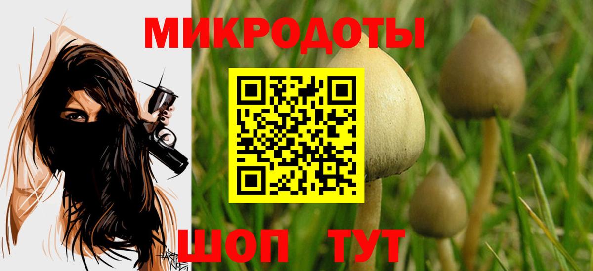 Псилоцибиновые грибы мухоморы  Псилоцибиновые грибы Psilocybe  Кулебаки  Вход с VPN 